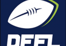DFFL Ligaeinteilung 2023