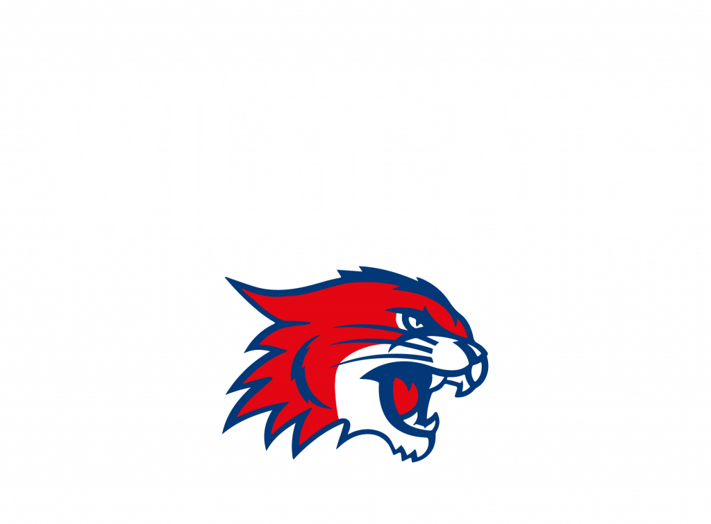 Wildcats Traben-Trabach