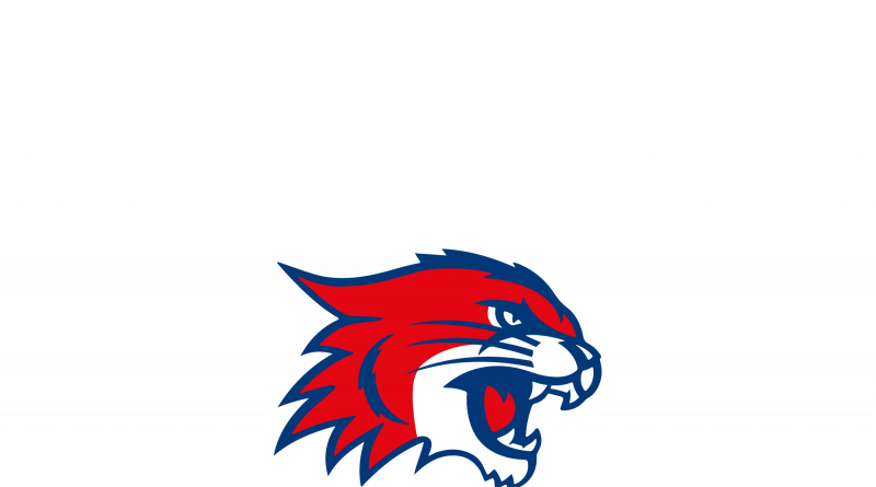 Wildcats Traben-Trabach